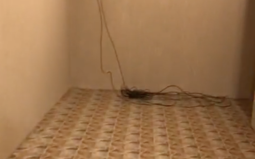 ✨ شقة للإيجار في أبها – حي درة المنسك